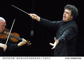 指揮家[音樂指揮家]