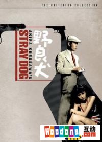 《野良犬》