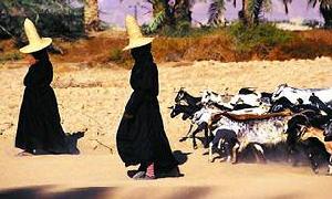 穿著傳統服裝的葉門婦女在放牧