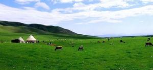 鹿角灣景區 鹿角灣景區