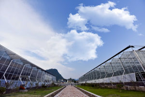 張家界農業觀光園 張家界農業觀光園