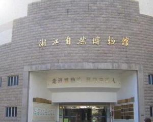 浙江自然博物館