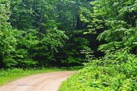 天然氧吧 天然氧吧