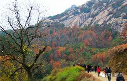 英山紅葉谷圖片