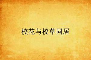 校花與校草同居