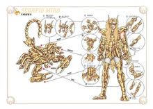 聖鬥士星矢[車田正美原作的漫畫]