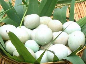 紅磚莊園趕鴨蛋