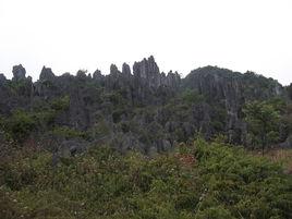 工勤崗位 工勤崗位