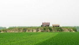 王皮溜鎮 王皮溜鎮