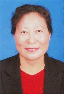 貢嘎[西藏人大常委會代表人事選舉工委會原副主任]