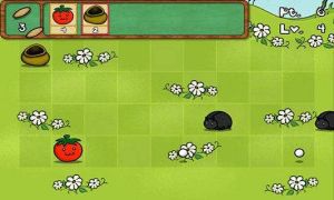 植物大戰臭蟲 植物大戰臭蟲