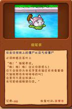 香蒲[《植物大戰殭屍》中的一種植物道具]