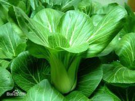 天油7號 天油7號