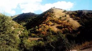 阿吾贊森林公園 阿吾贊森林公園