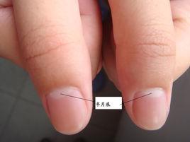 月牙[手指月牙]