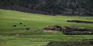 竹巴龍自然保護區 竹巴龍自然保護區