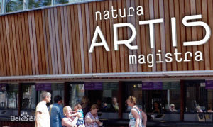 阿姆斯特丹動物園 阿姆斯特丹動物園