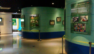 昆蟲科學博物館 昆蟲科學博物館