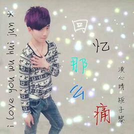 回憶那么痛 回憶那么痛