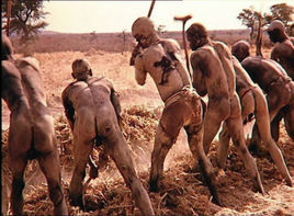 國際土著人日 國際土著人日