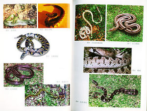 《蛇類無公害養殖綜合新技術》 《蛇類無公害養殖綜合新技術》