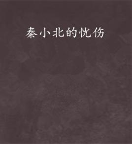 秦小北的憂傷 秦小北的憂傷