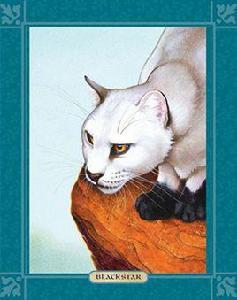 黑星[貓武士角色]