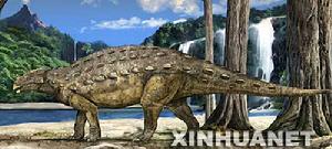 洛陽中原龍 洛陽中原龍