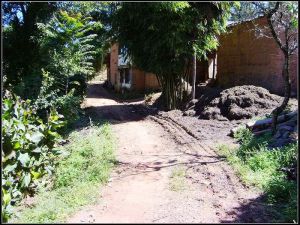 興隆茶房村 興隆茶房村