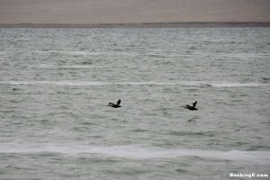 大布蘇自然保護區濕地