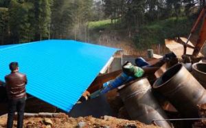 文橋鎮金星村 文橋鎮金星村