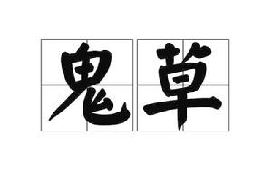 鬼草[中藥名稱]
