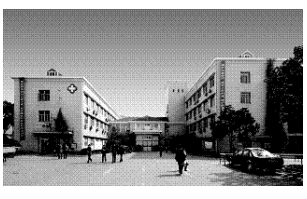 上海市寶山區羅店醫院 上海市寶山區羅店醫院