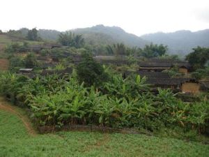 玉碗水村 玉碗水村