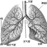 心率不齊 心率不齊