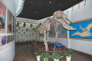 （圖）溫州龍灣區文博館