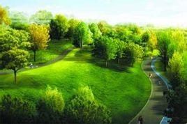 中關村森林公園