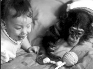 尼姆·猩姆斯基 尼姆·猩姆斯基