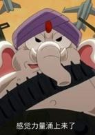 那年那兔那些事兒[翼下之風製作的網路動畫]