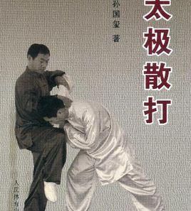太極散打 太極散打