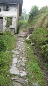 良坑嶺古道 良坑嶺古道