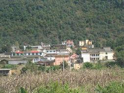 龍洞村委會 龍洞村委會