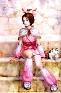 戰國無雙[《戰國無雙》系列遊戲初作]