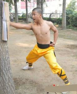 千層紙功 千層紙功