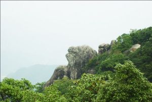 松溪白馬山省級自然保護區 松溪白馬山省級自然保護區