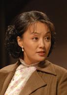 趙丹[2010年翟俊傑執導電視劇]