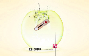 苗王草/七葉灰甲淨