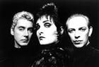 Siouxsie and the Banshees Siouxsie and the Banshees