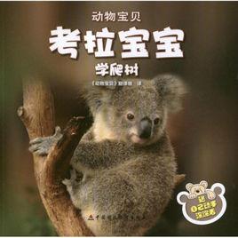 動物寶貝:考拉寶寶學爬樹 動物寶貝:考拉寶寶學爬樹