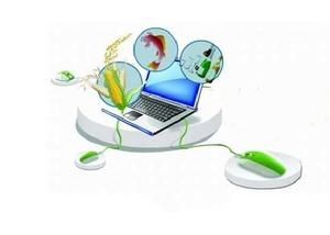 農產品網路行銷 農產品網路行銷